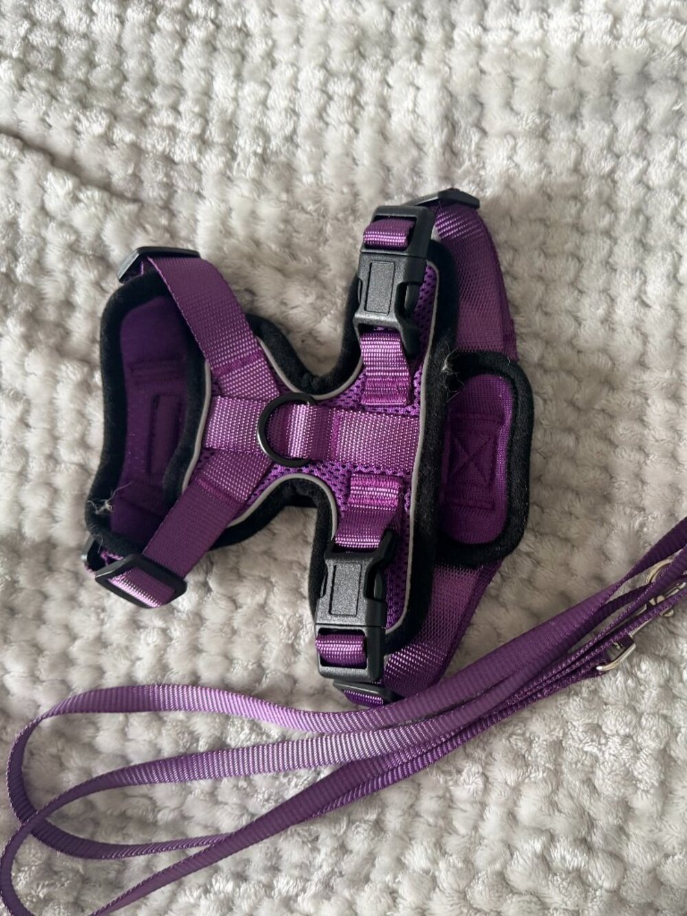 rabbitgoo Cat Harness and Leash for Walking, Escape Proof Soft Adjustable Vest
